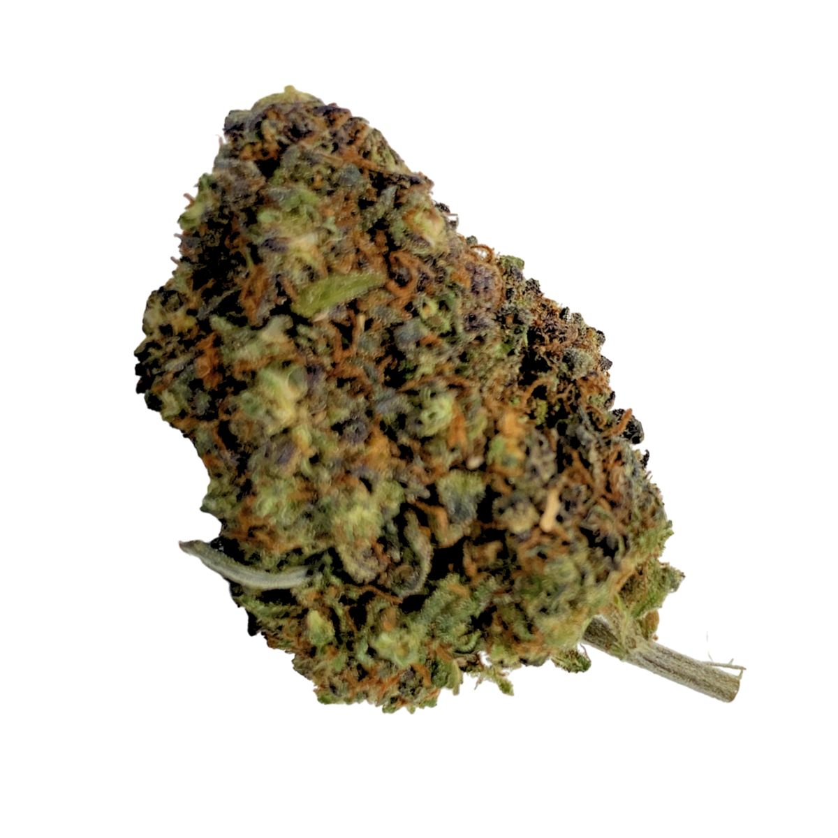 northern lights blue cbd