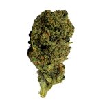 strawberry-haze-cbd-3 strawberry haze cbd