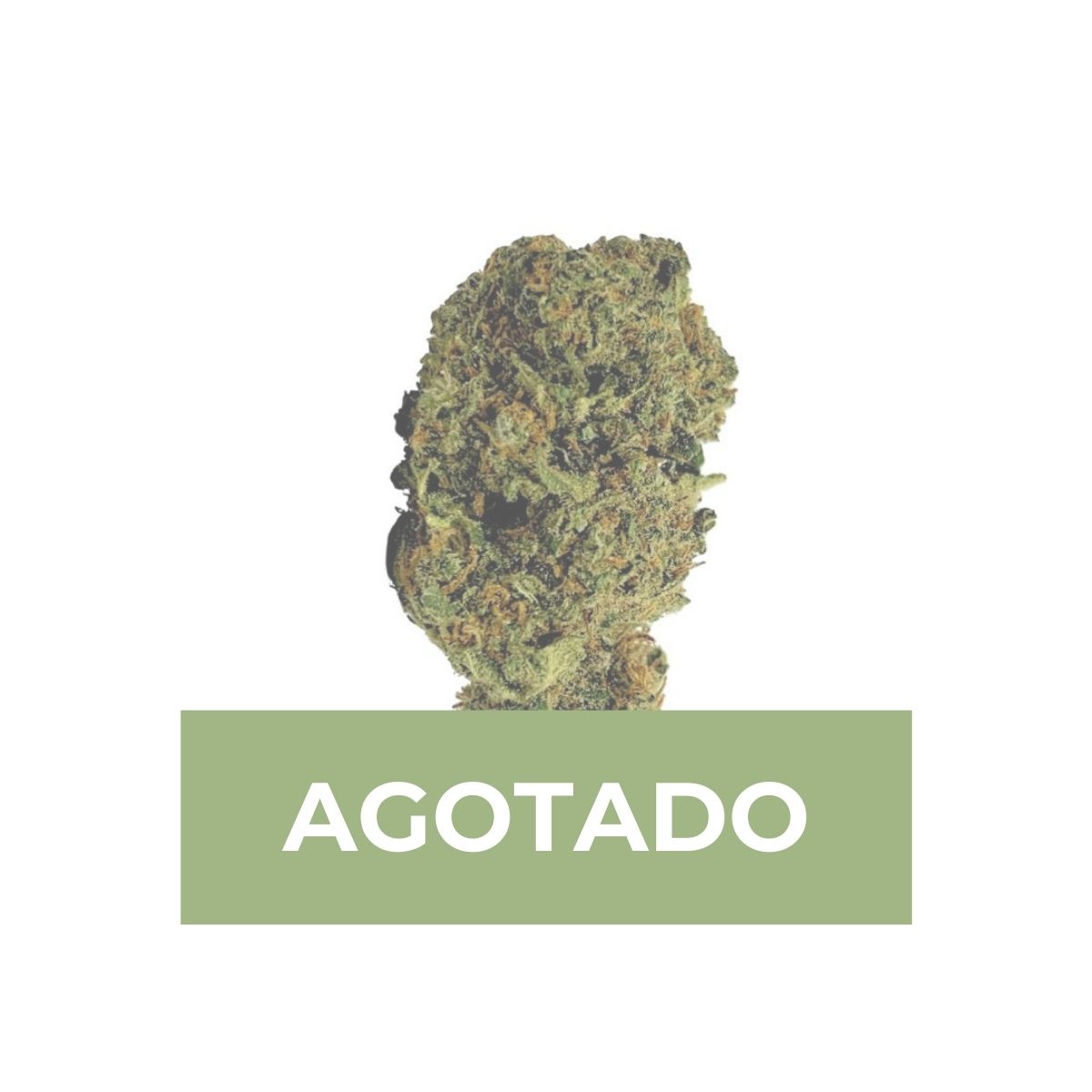 strawberry-haze-cbd-4