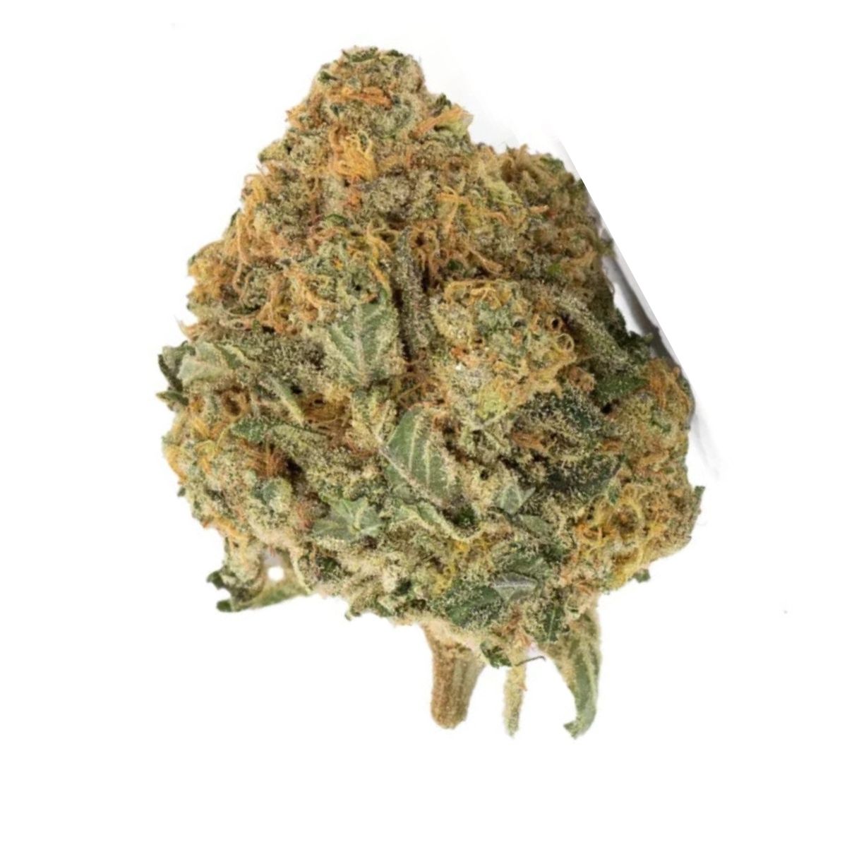 blueberry-diesel-cbd Blueberry diesel cbd