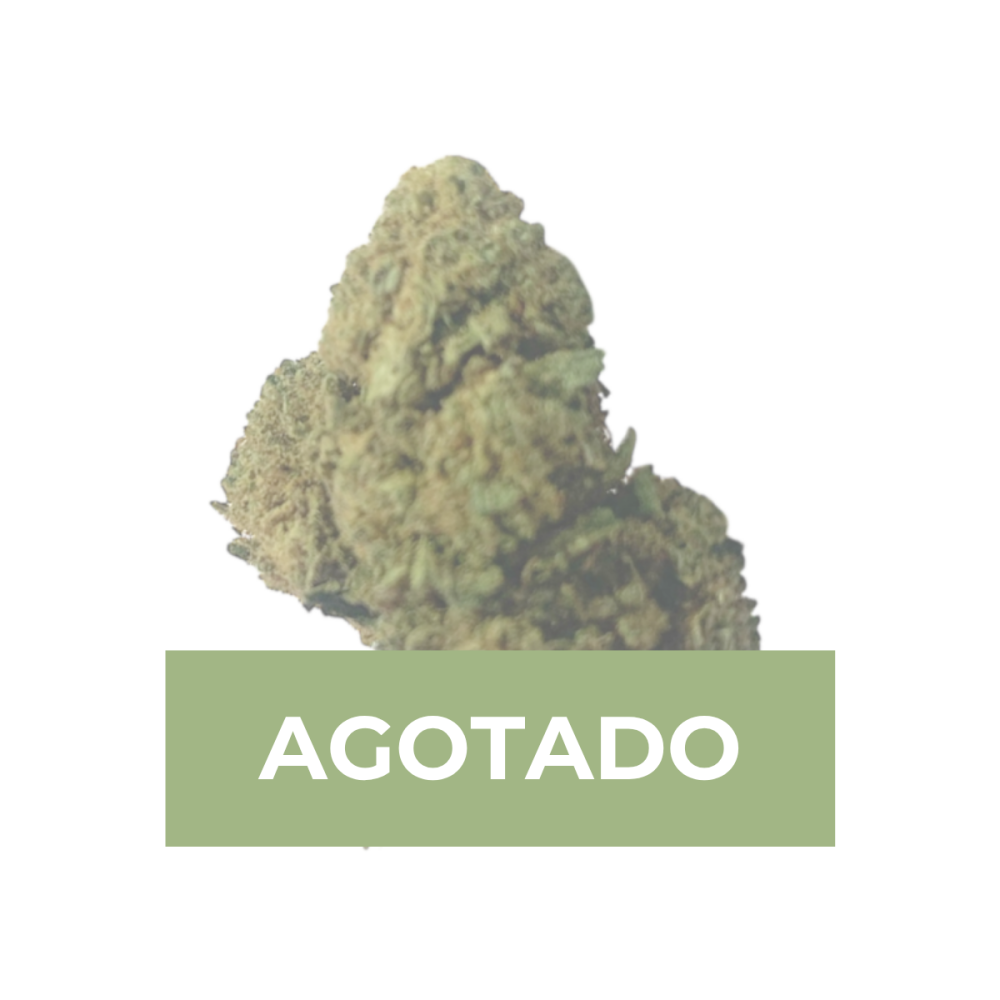 cookie kush cbd